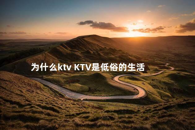 为什么ktv KTV是低俗的生活